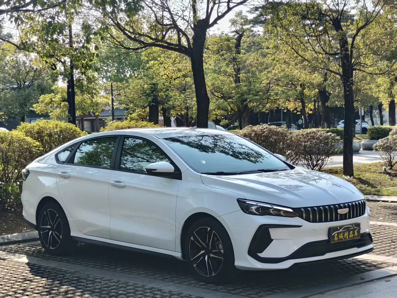Geely Binrui