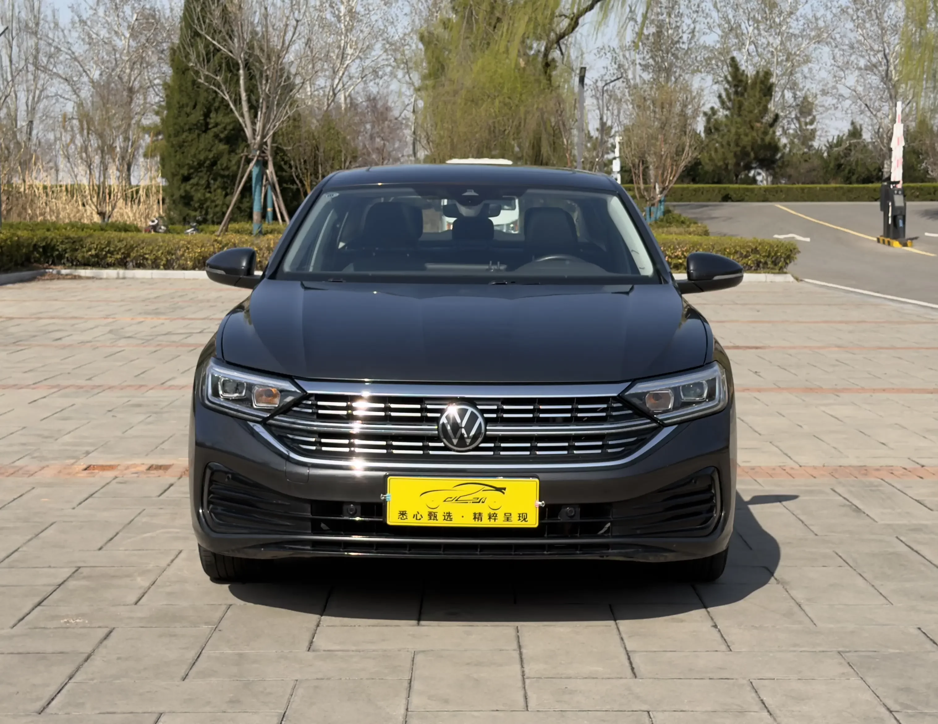 Volkswagen Sagitar