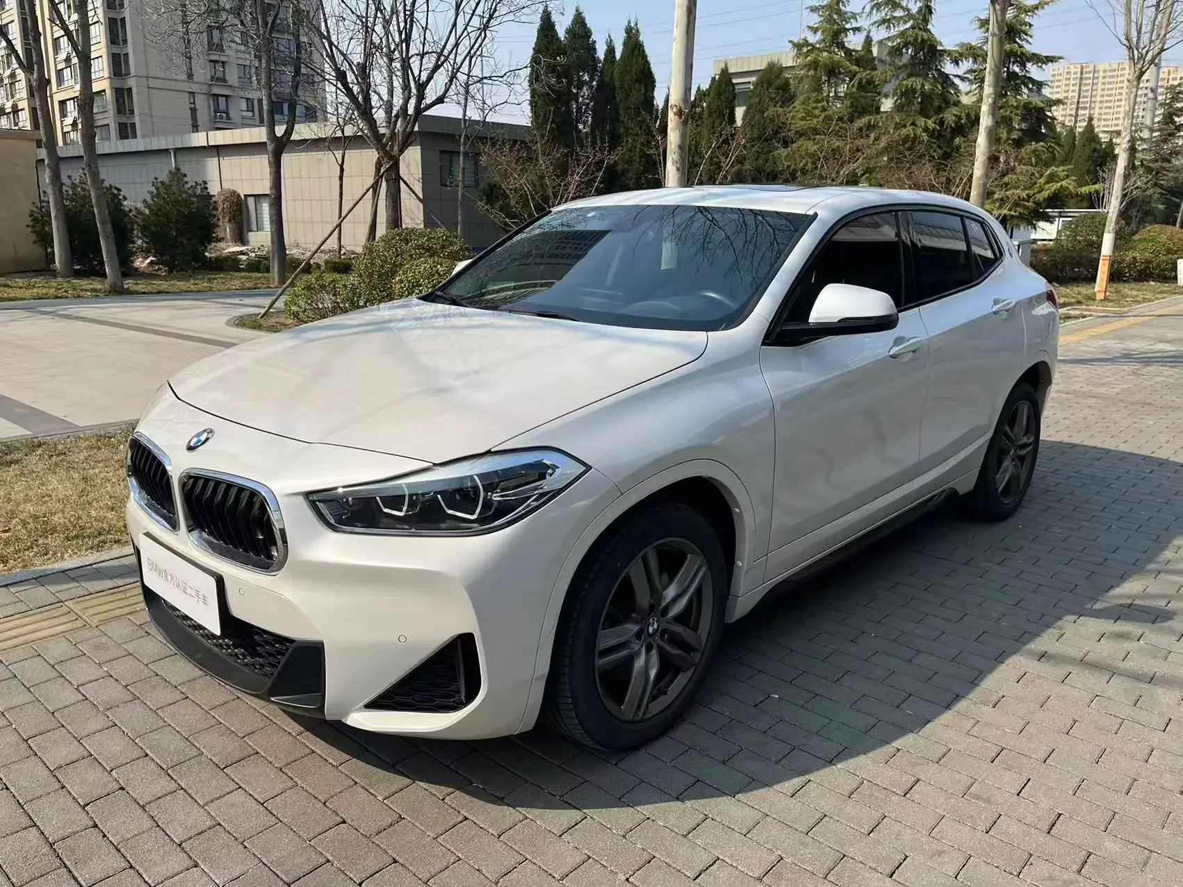BMW X2