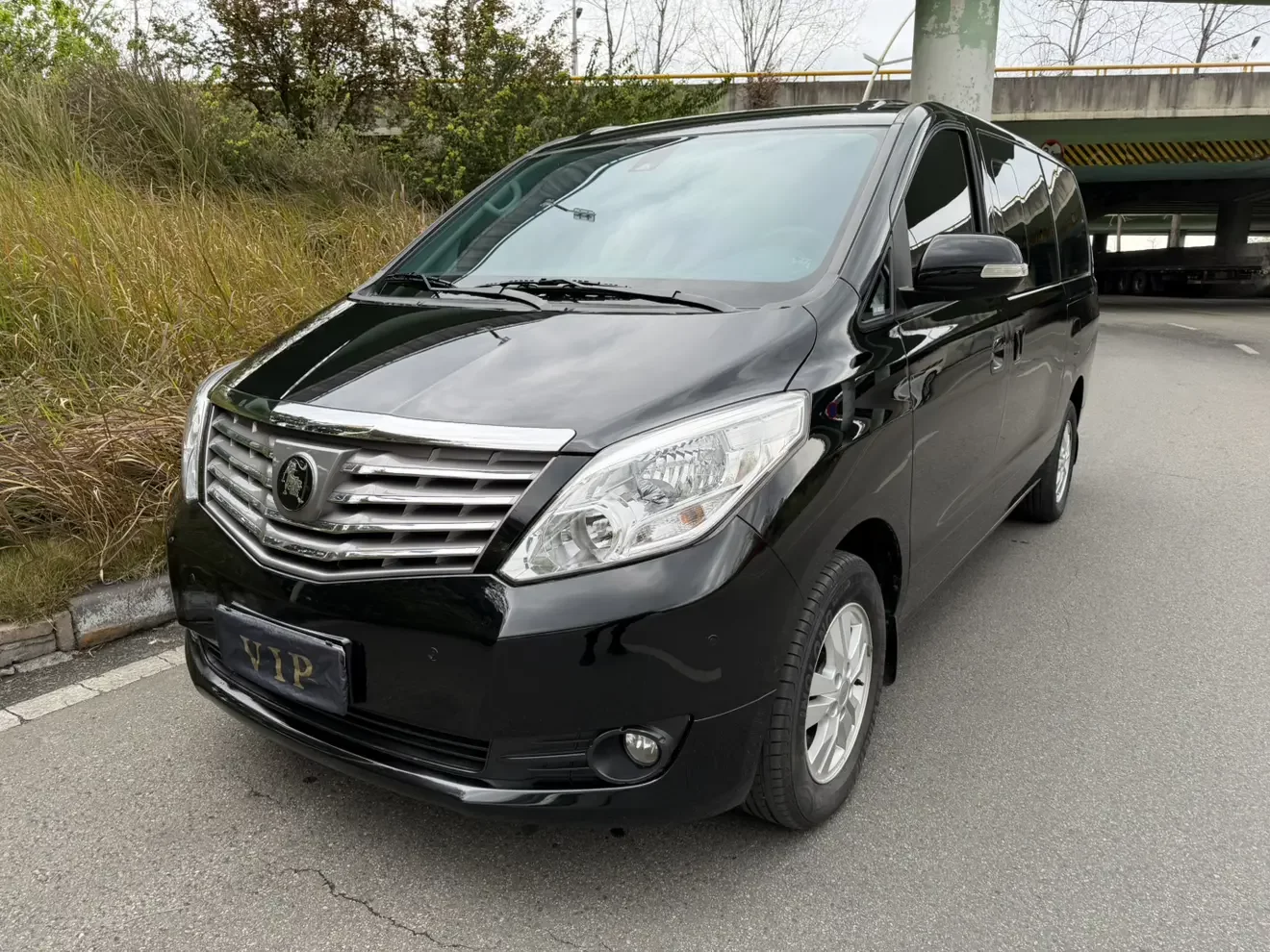 Forthing Lingzhi PLUS