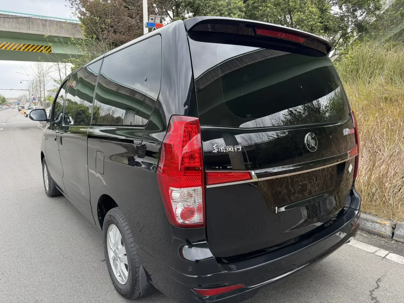 Forthing Lingzhi PLUS