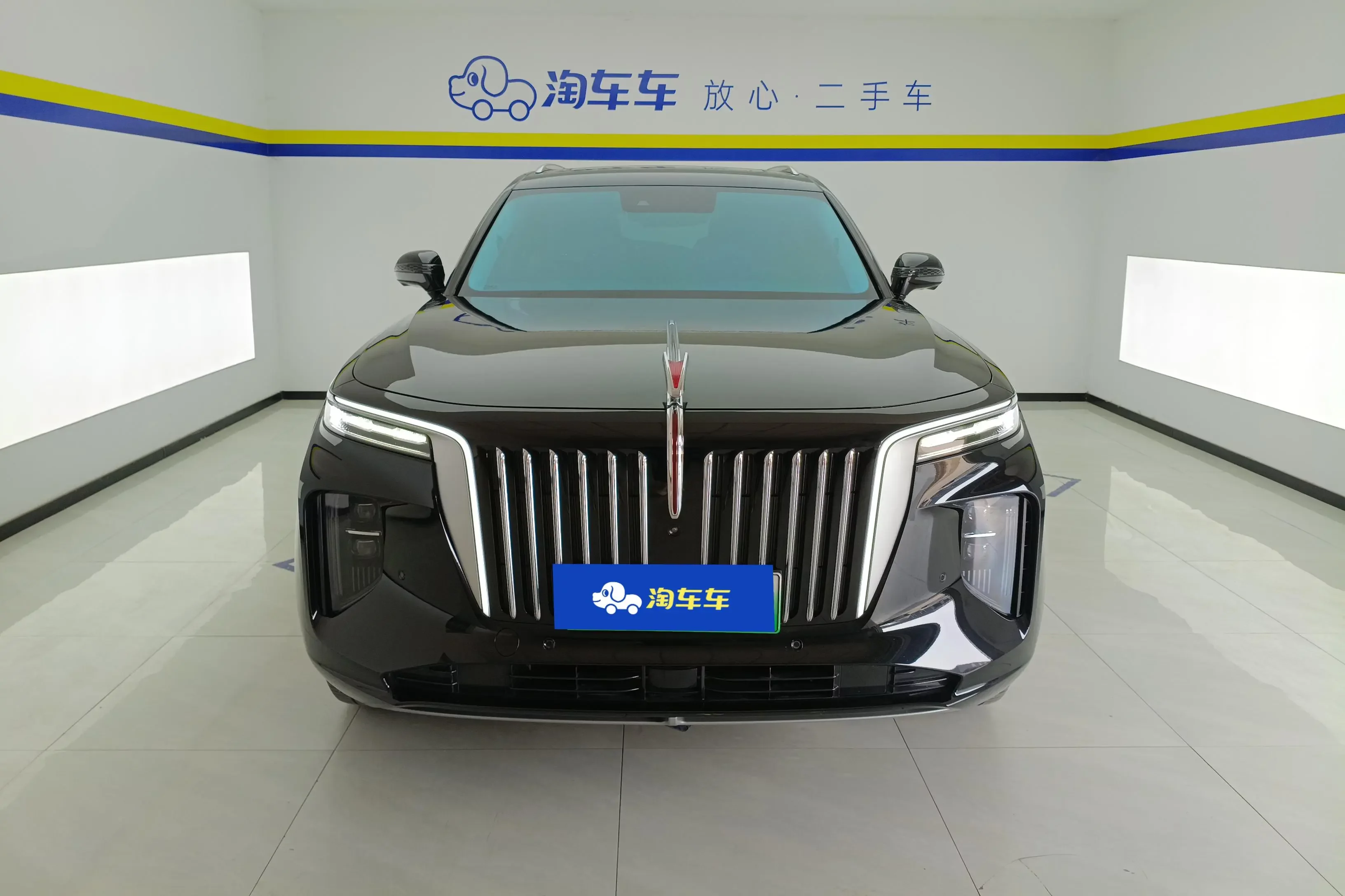Hongqi E-HS9