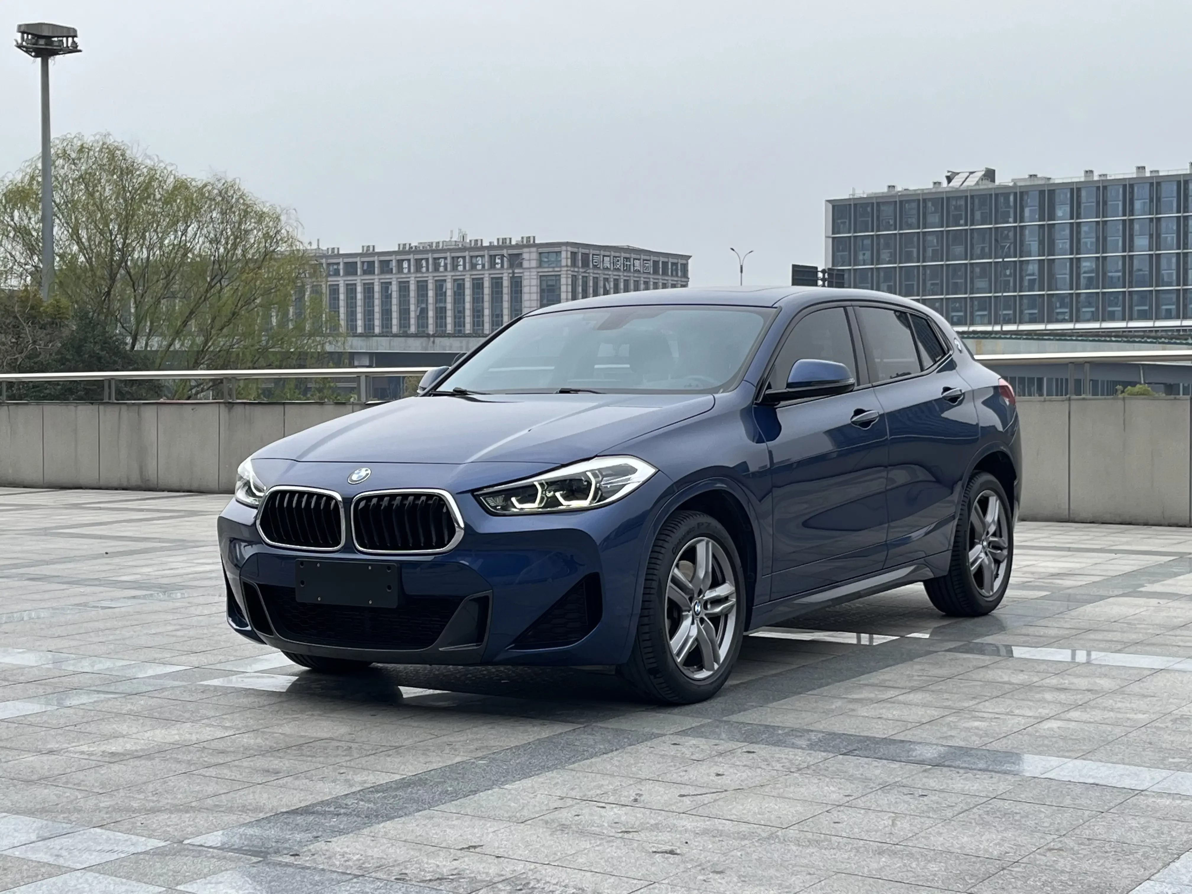 BMW X2