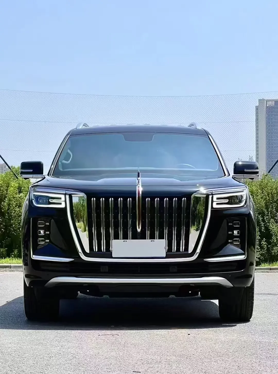 Hongqi Red Flag Golden Sunflower National Glory
