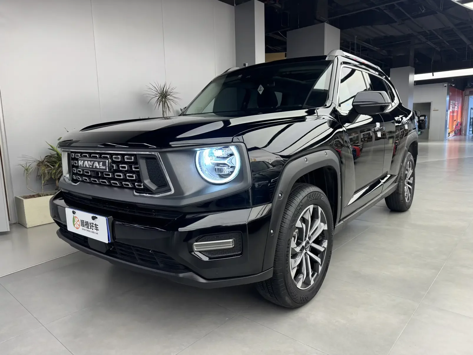 Haval Big Dog PLUS  из Китая