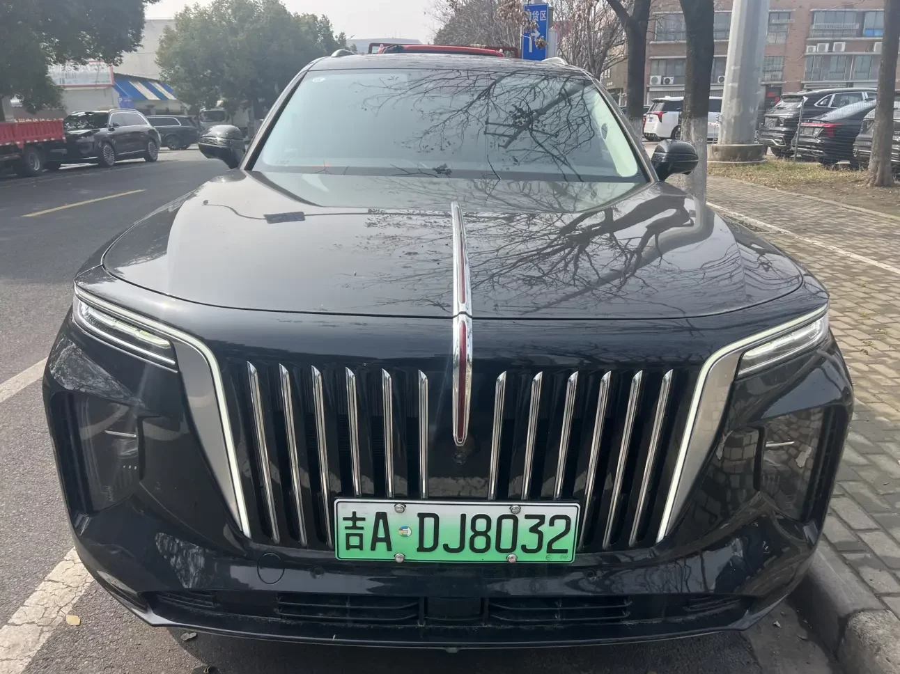 Hongqi E-HS9