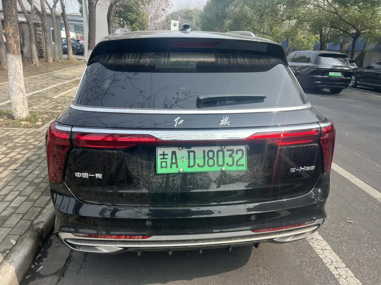 Hongqi E-HS9
