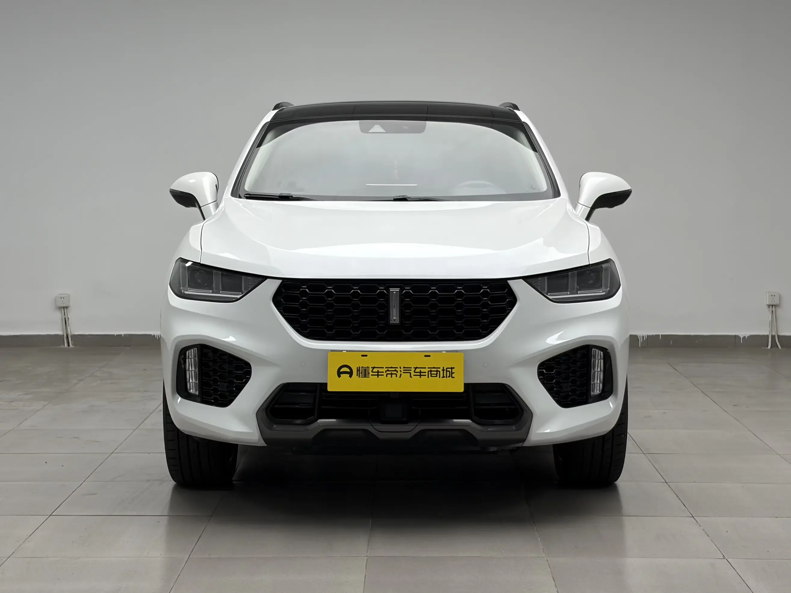 Wey Wei brand VV5