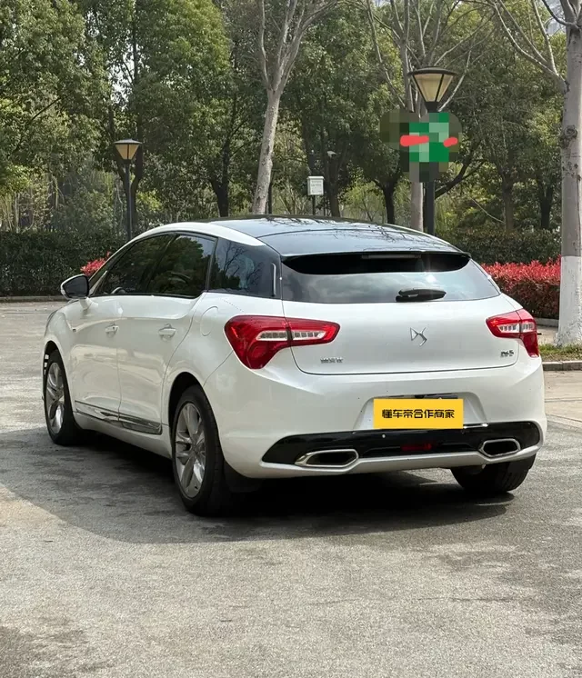 DS 5