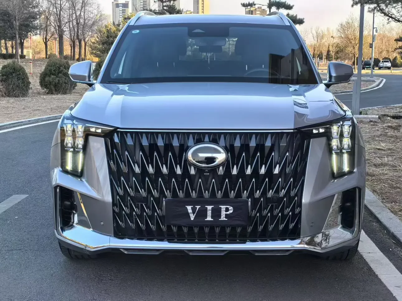 GAC Trumpchi GS8