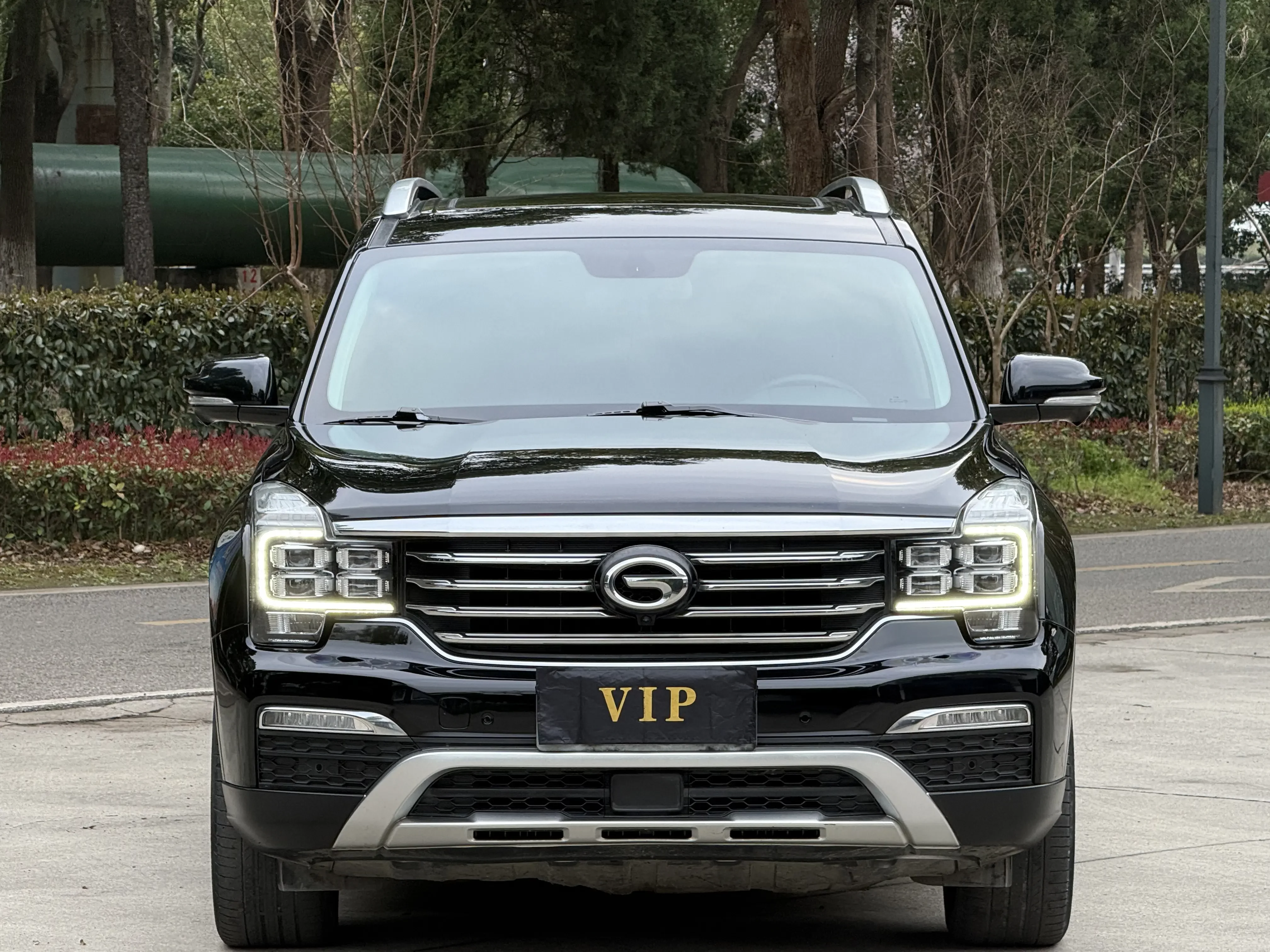 GAC Trumpchi GS8
