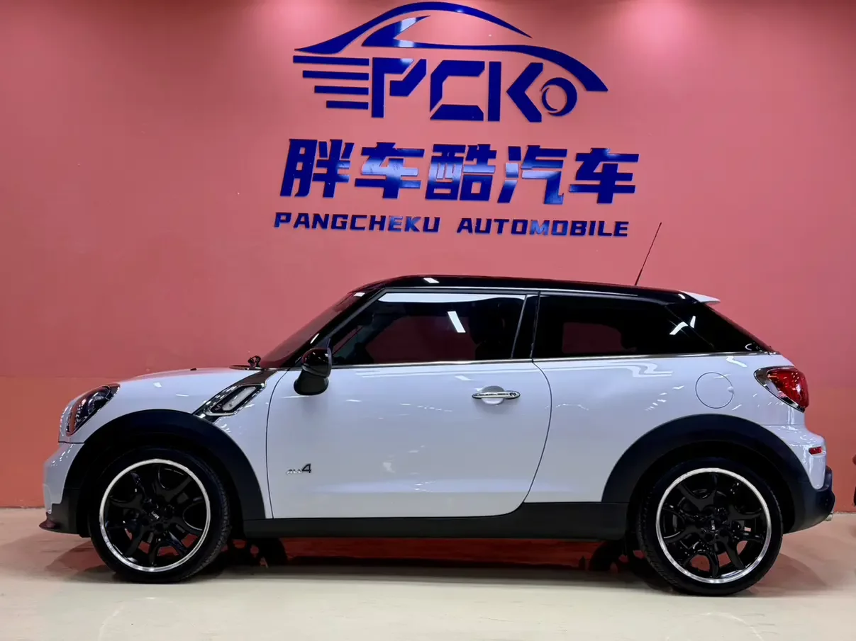 MINI PACEMAN
