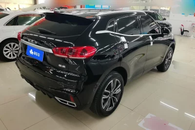 Wey Wei brand VV5