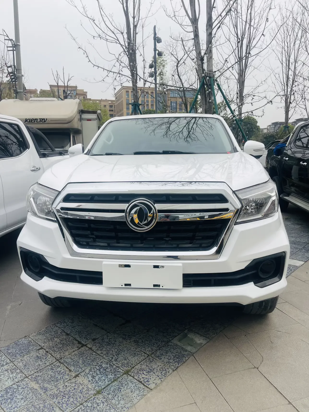 Dongfeng Ruiqi 6