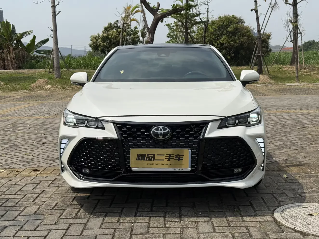 Toyota Avalon
