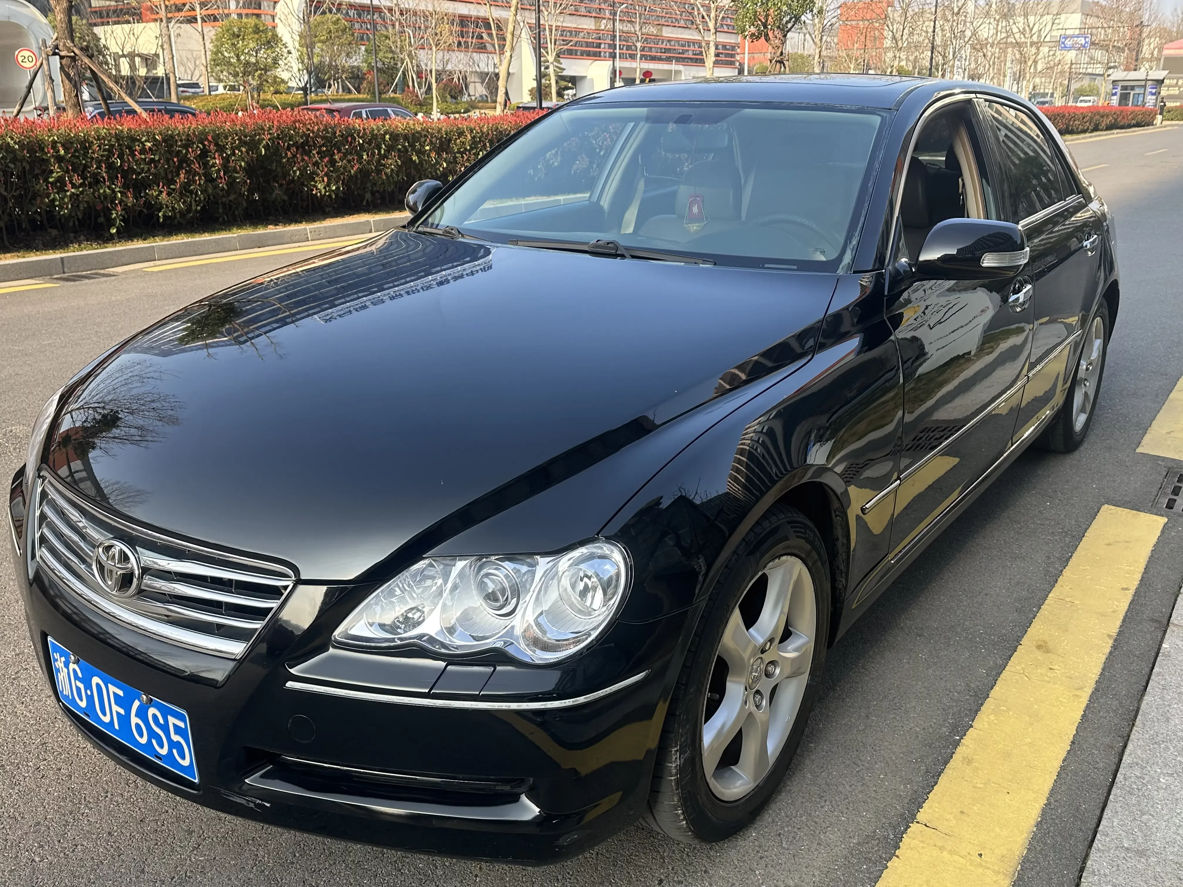 Toyota Ruizhi