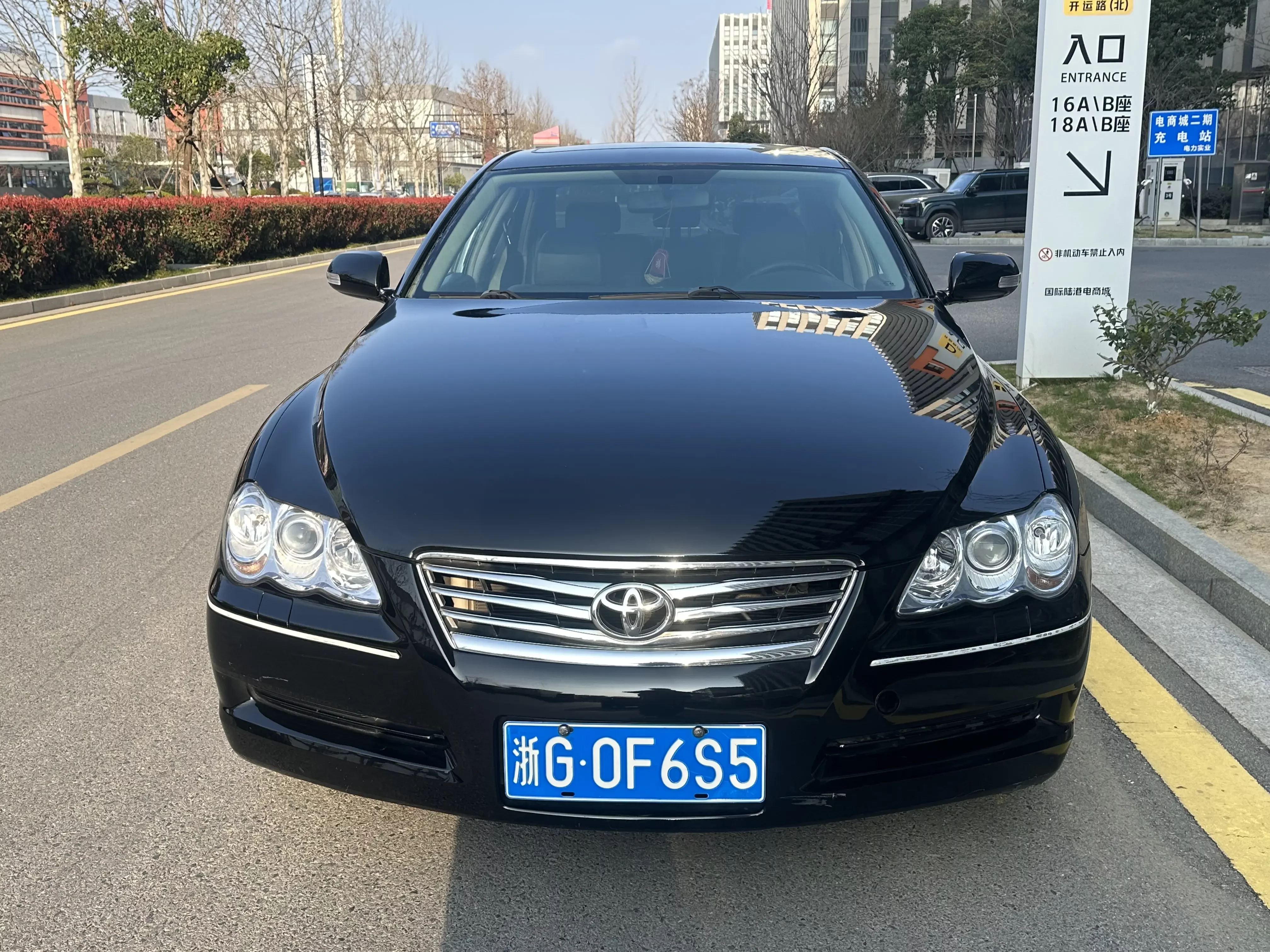 Toyota Ruizhi