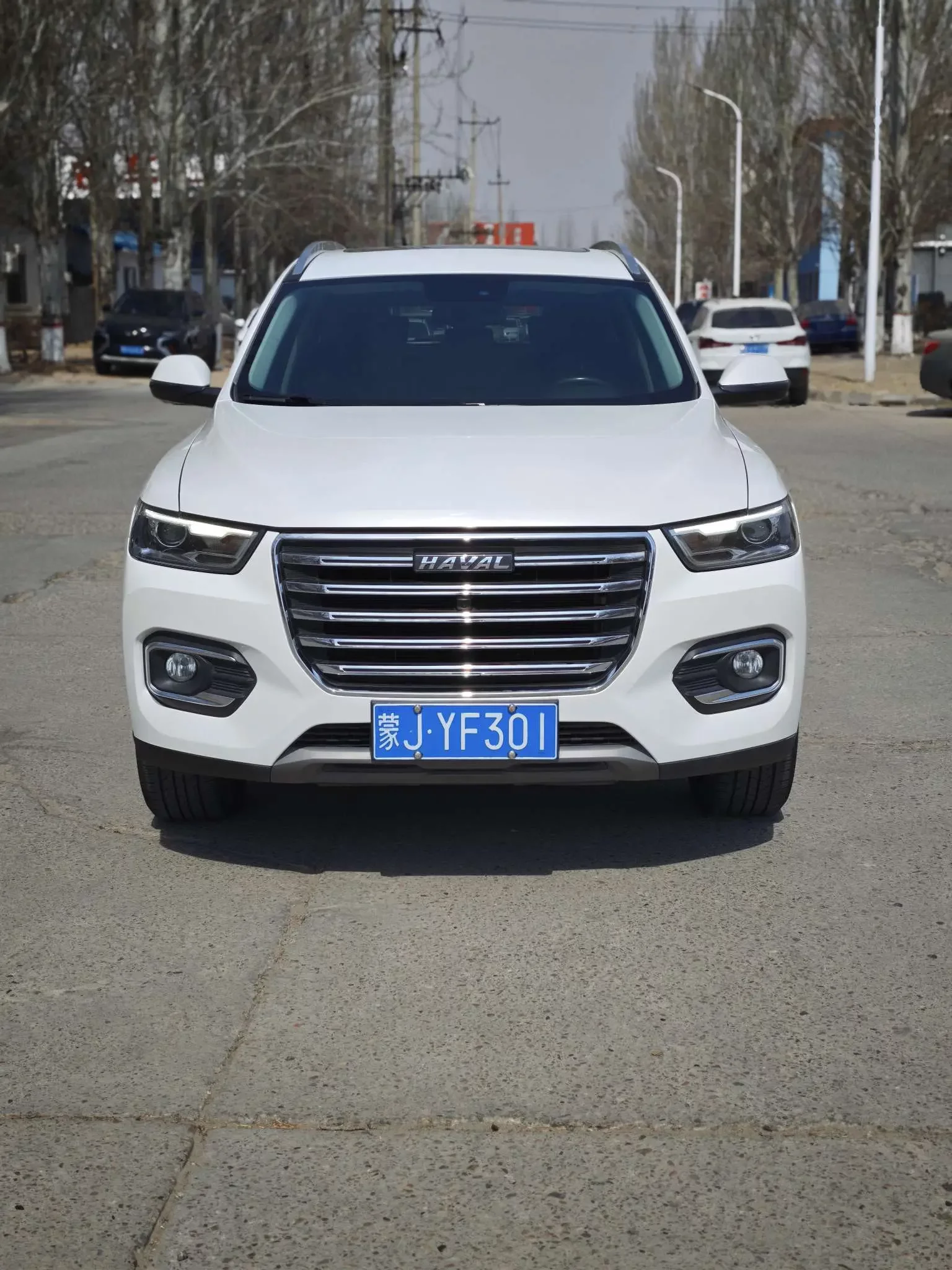 Haval H6