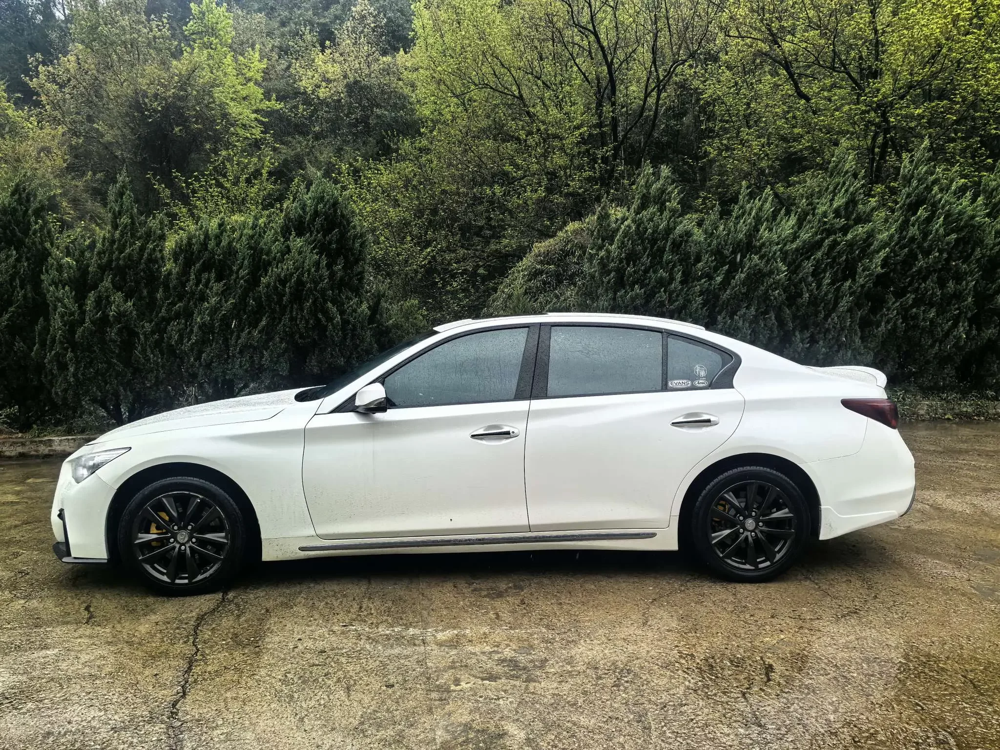 Infiniti Q50L