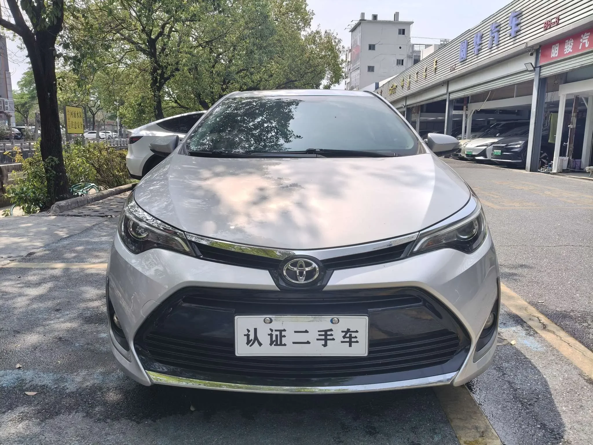 Toyota Levin