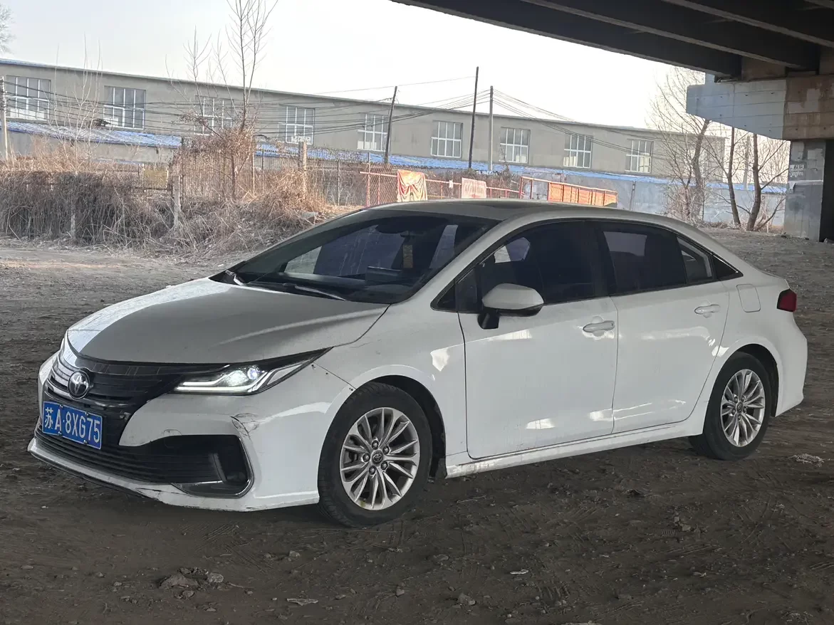 Toyota Asiatic lion