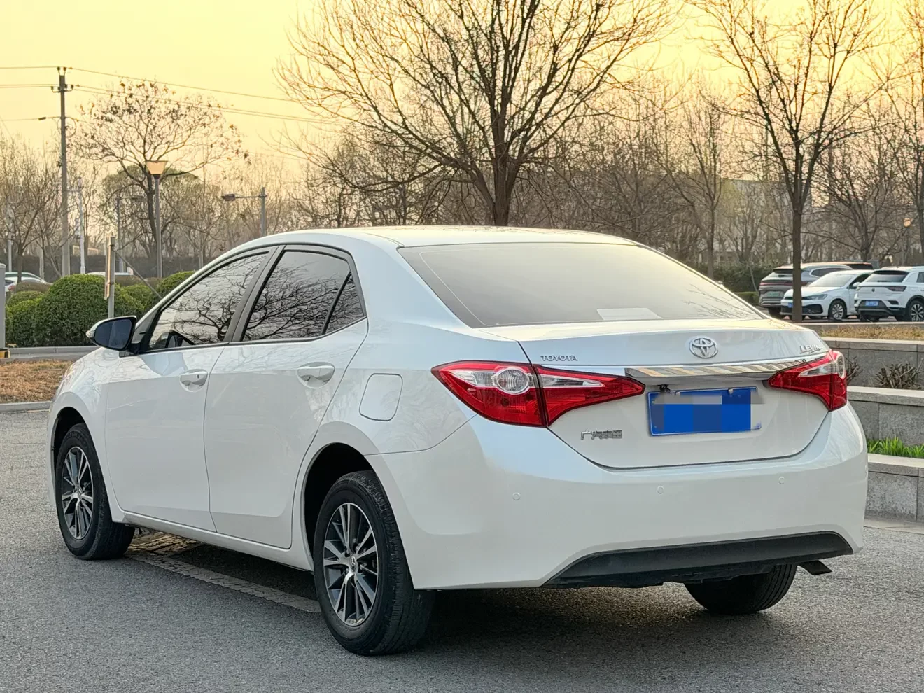 Toyota Levin