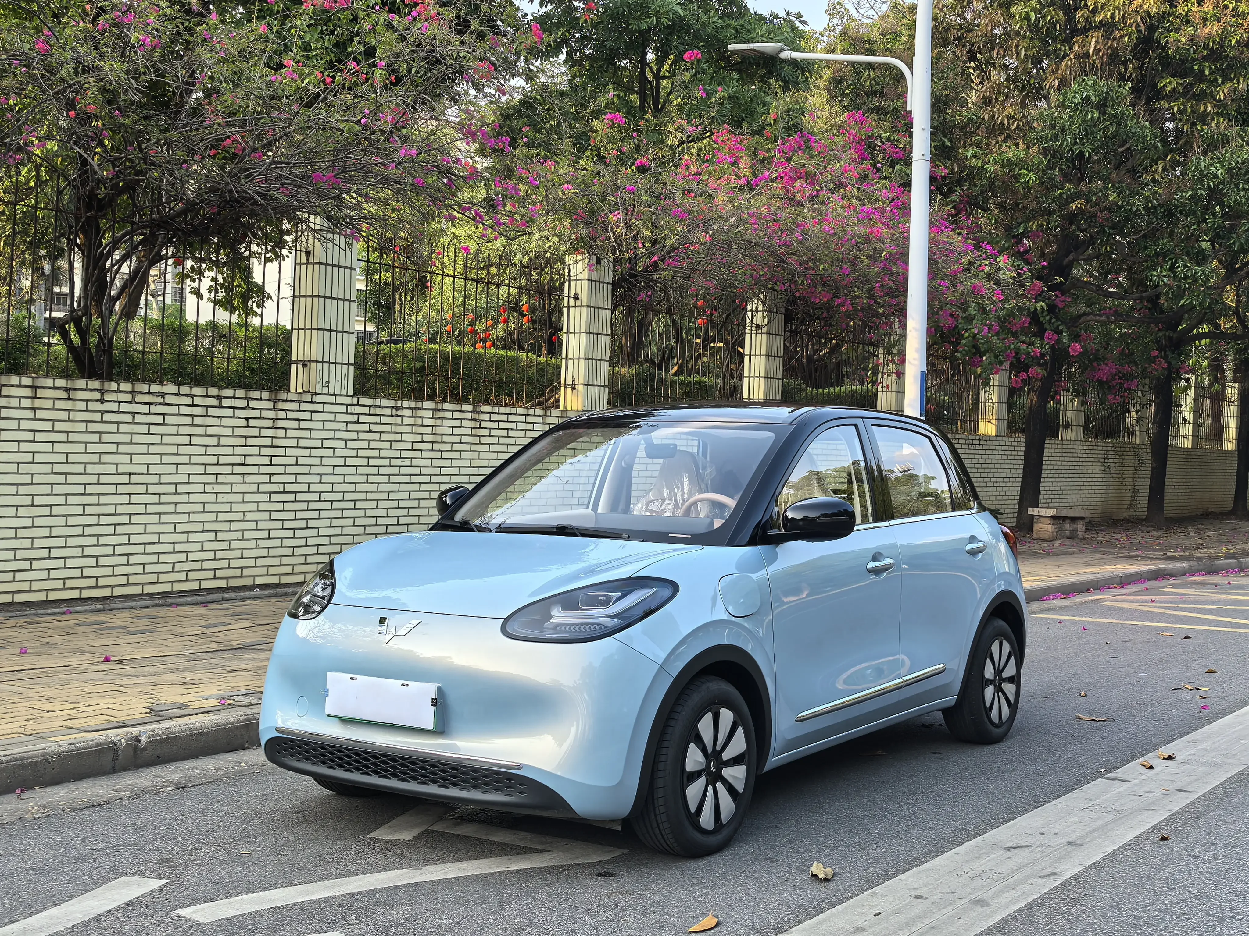 Wuling Bingo