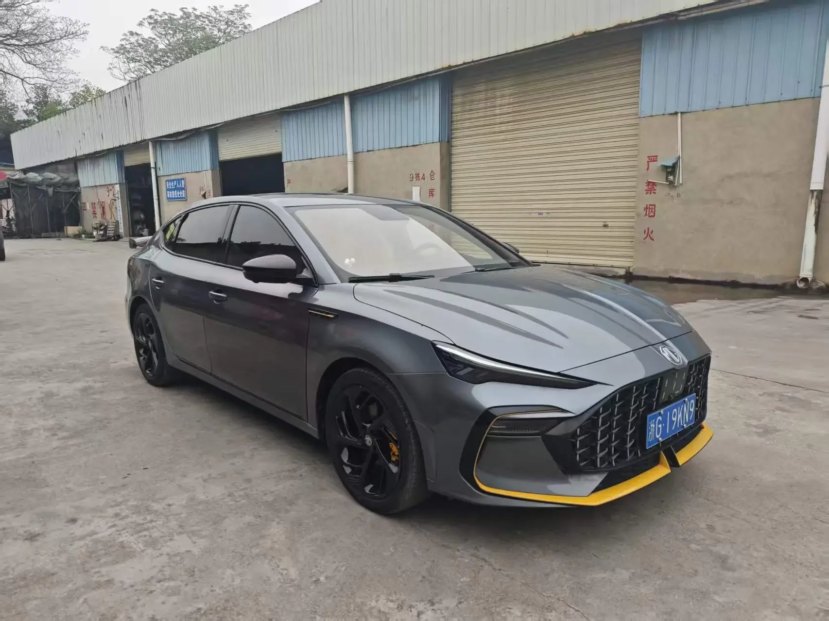 MG 6
