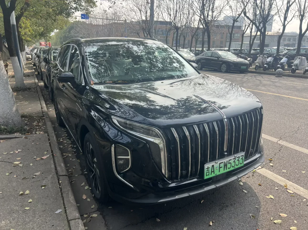 Hongqi HS7 PHEV