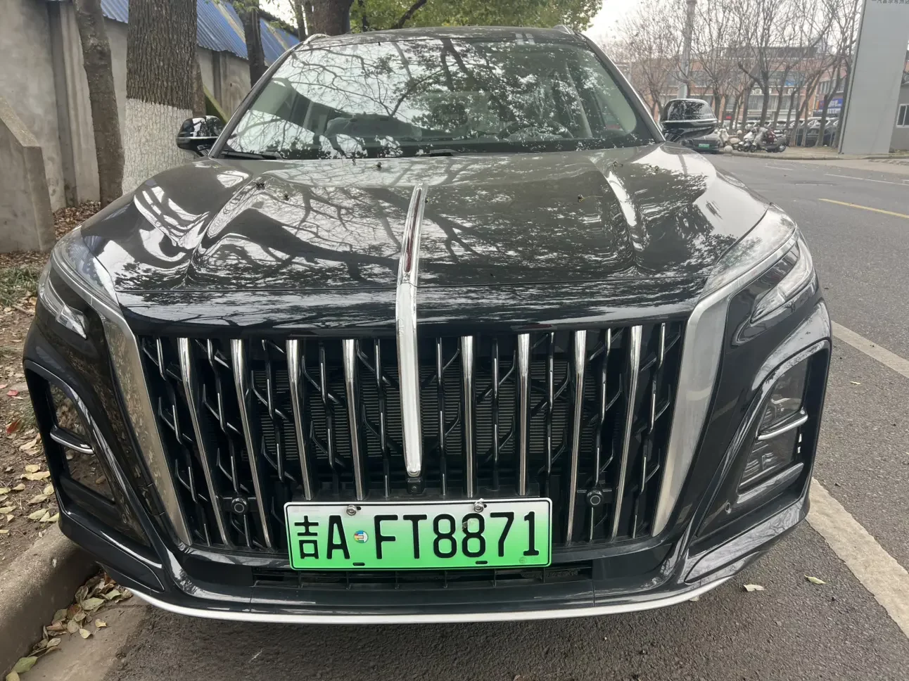 Hongqi HS3