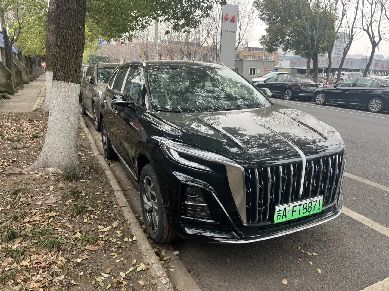 Hongqi HS3