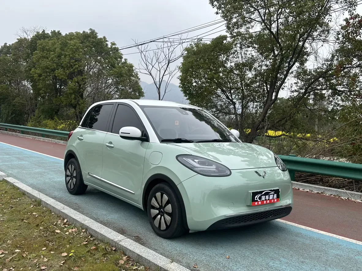 Wuling Bingo