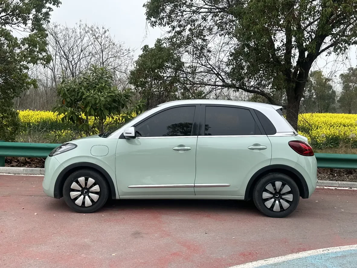 Wuling Bingo