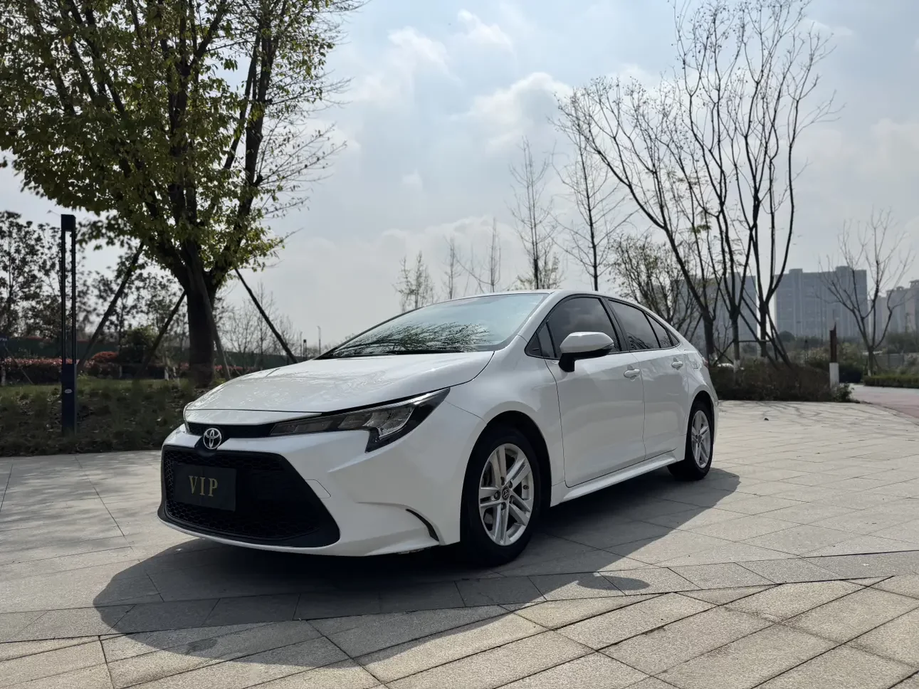 TOYOTA LEVIN
