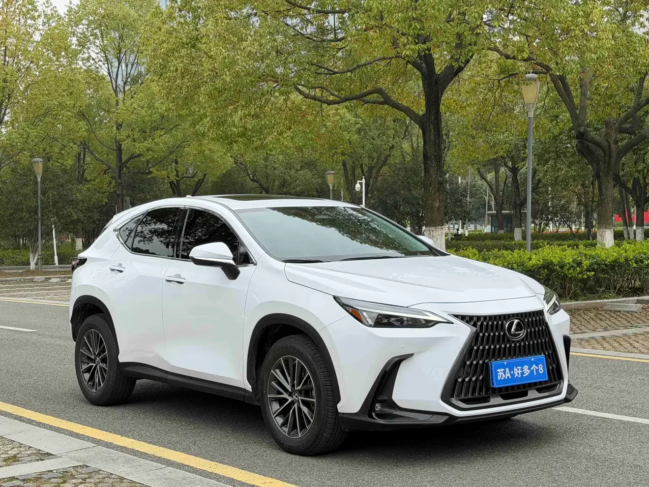 Lexus NX
