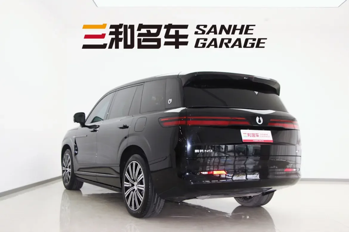 Denza Tengzhong N9 DM
