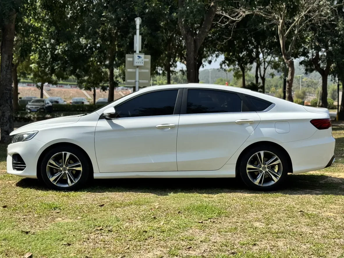 Geely Binrui