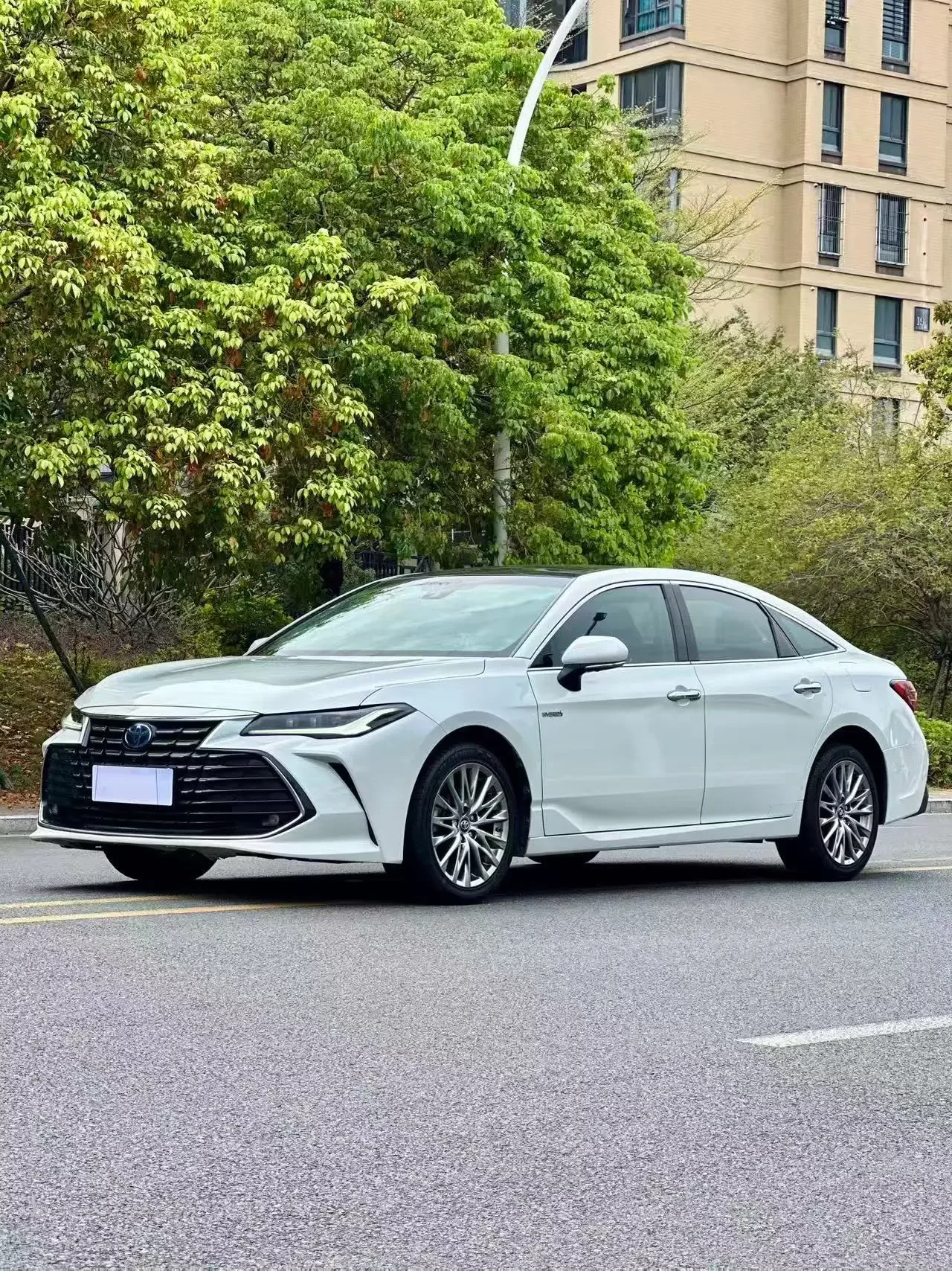 Toyota Avalon