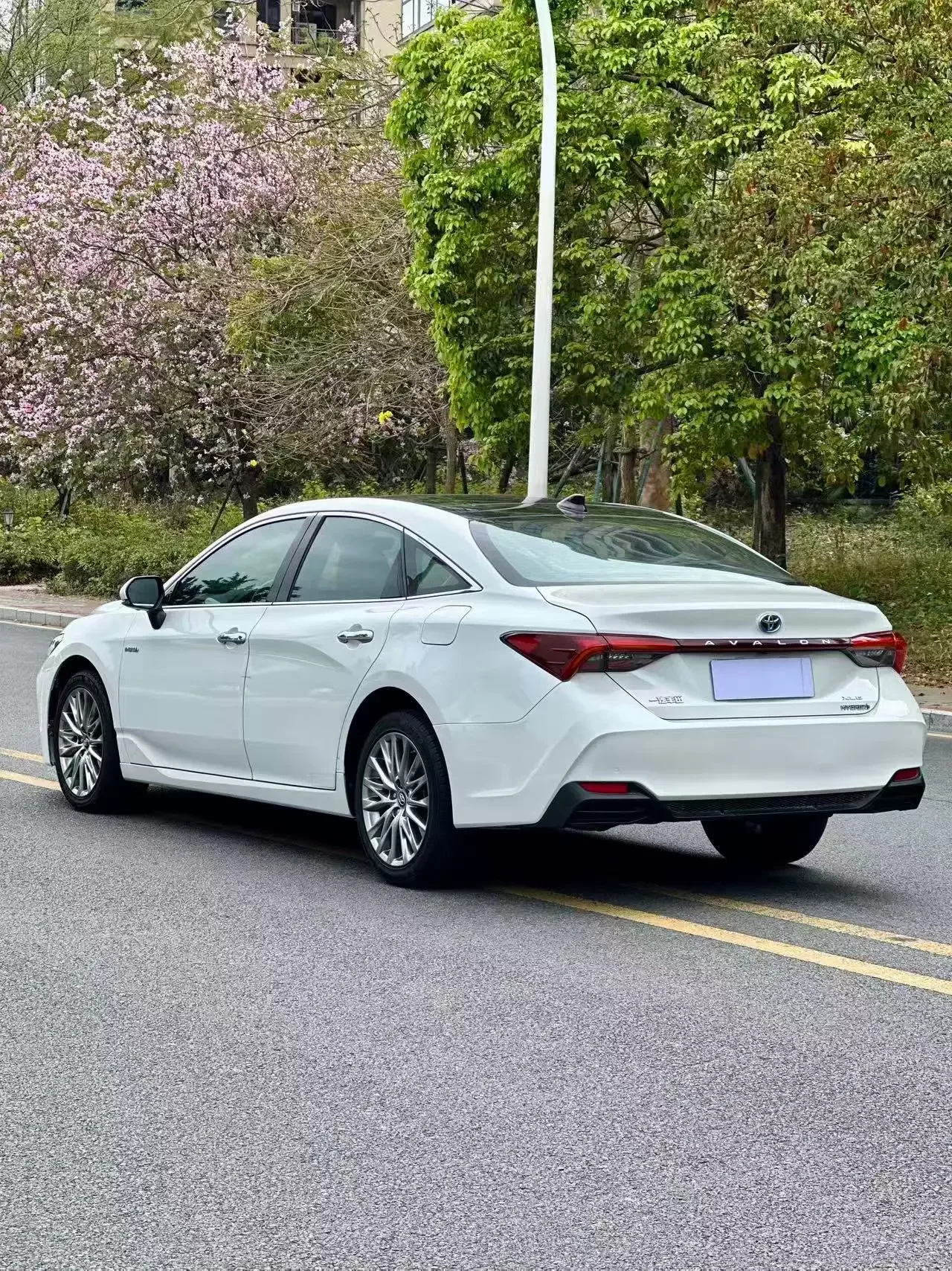 Toyota Avalon