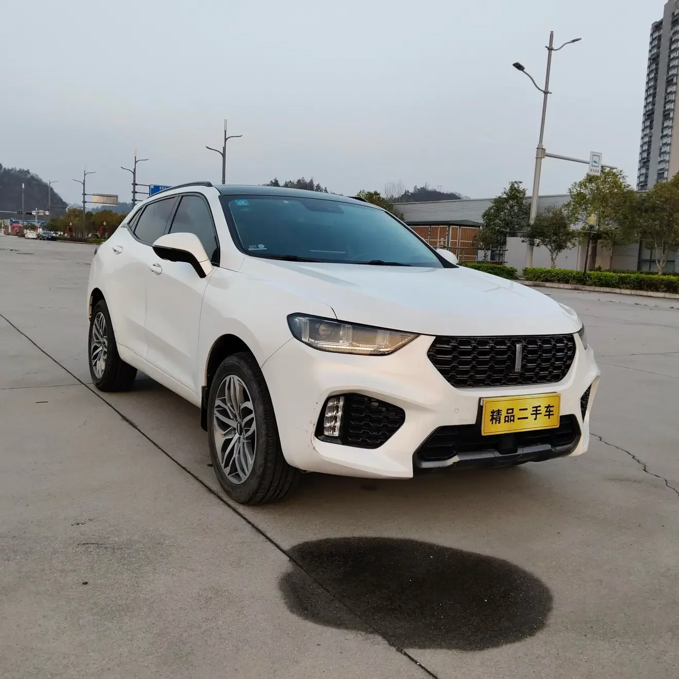Wey Wei brand VV5