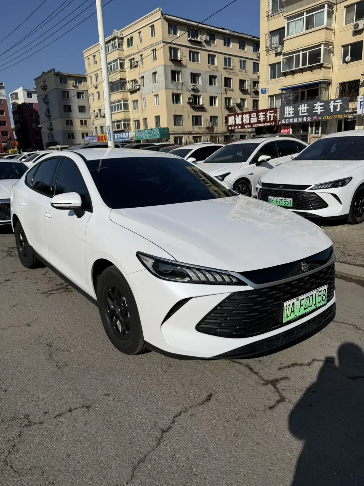 BYD Qin PLUS DM
