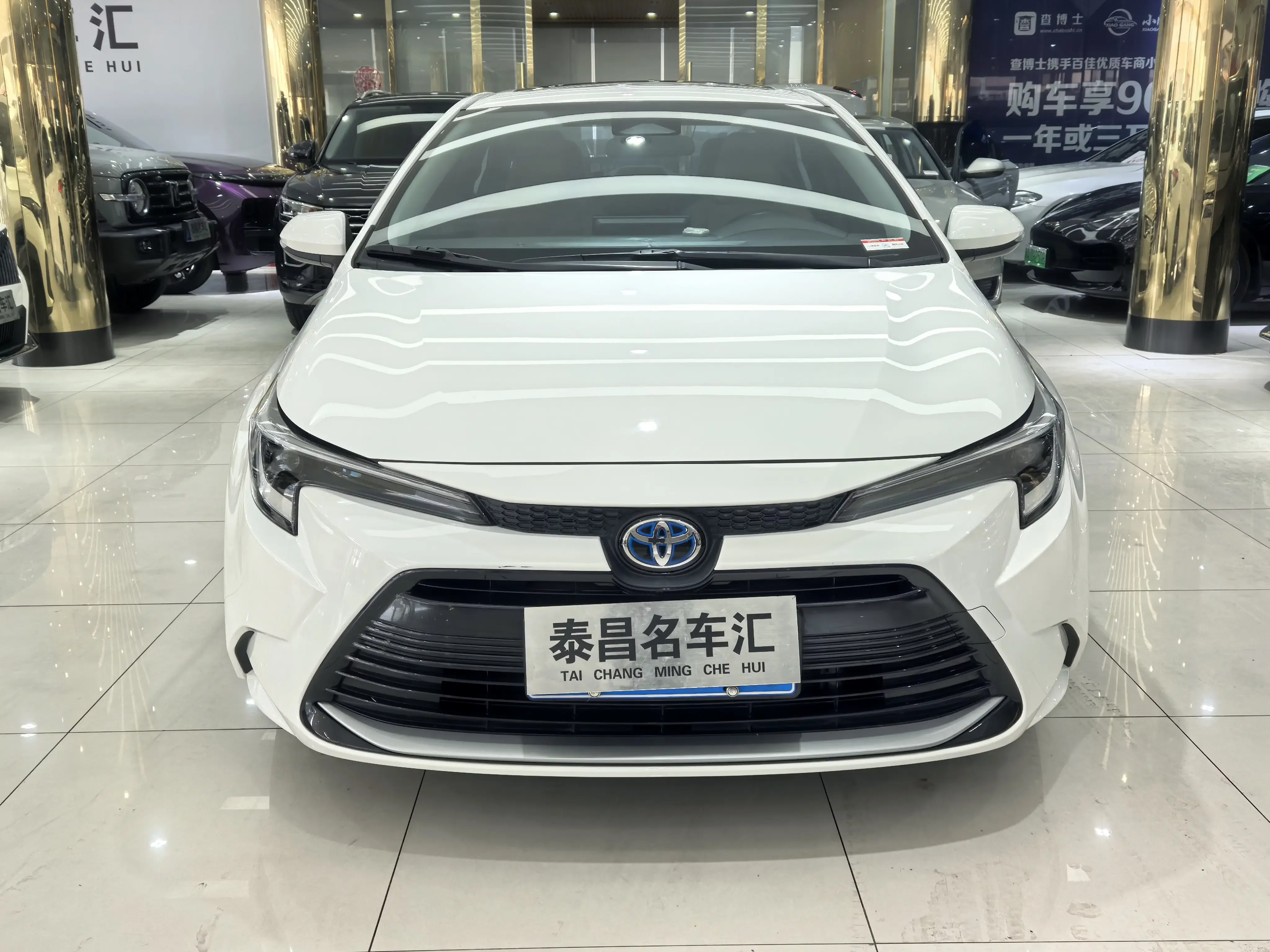 Toyota Levin