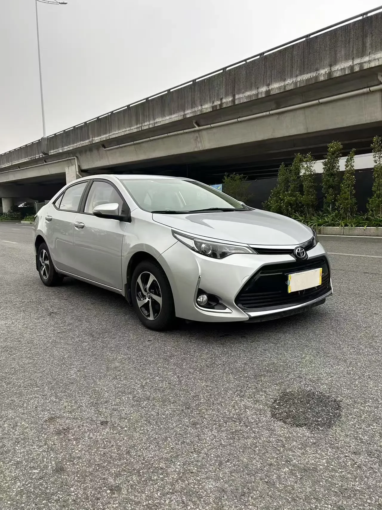 Toyota Levin