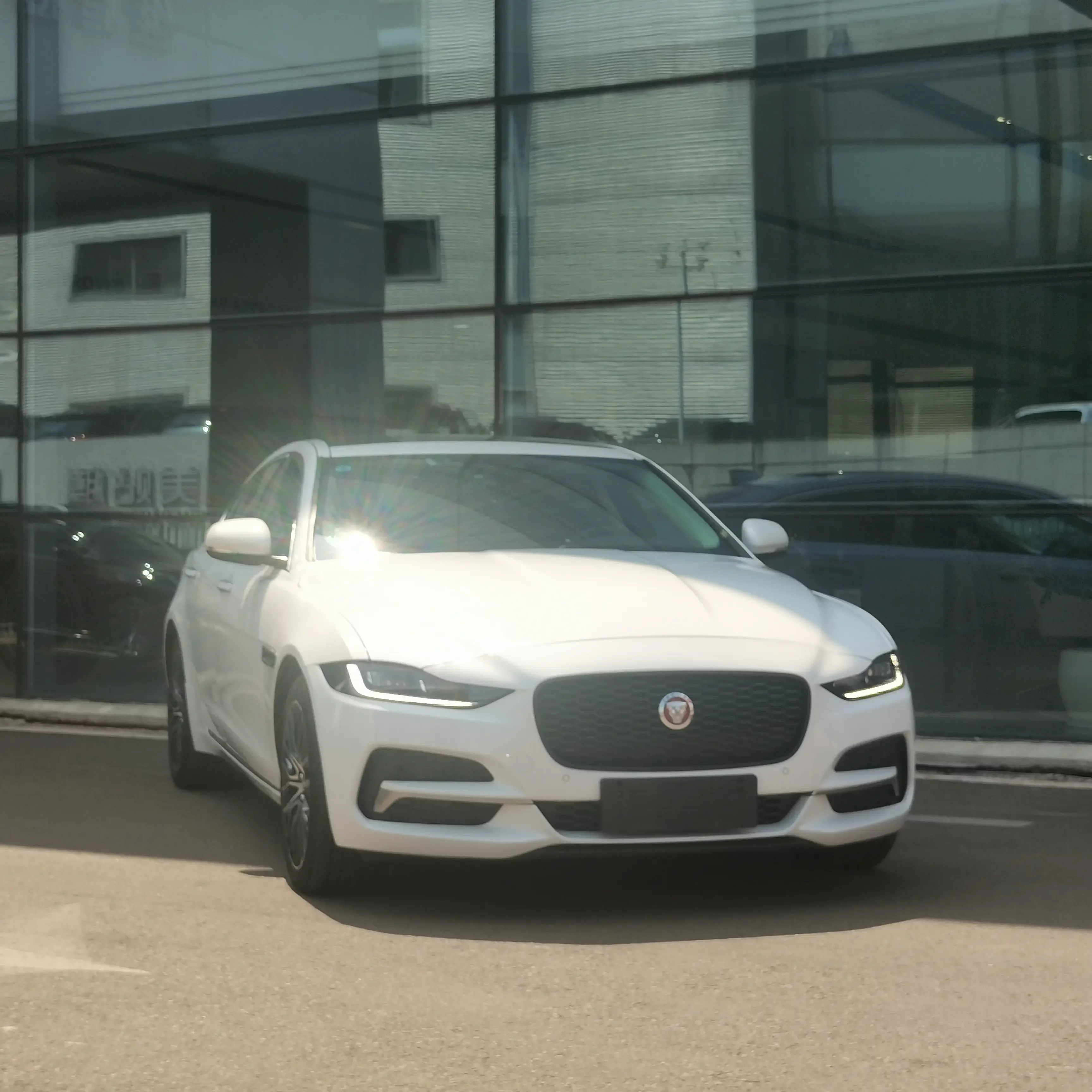 Jaguar XEL