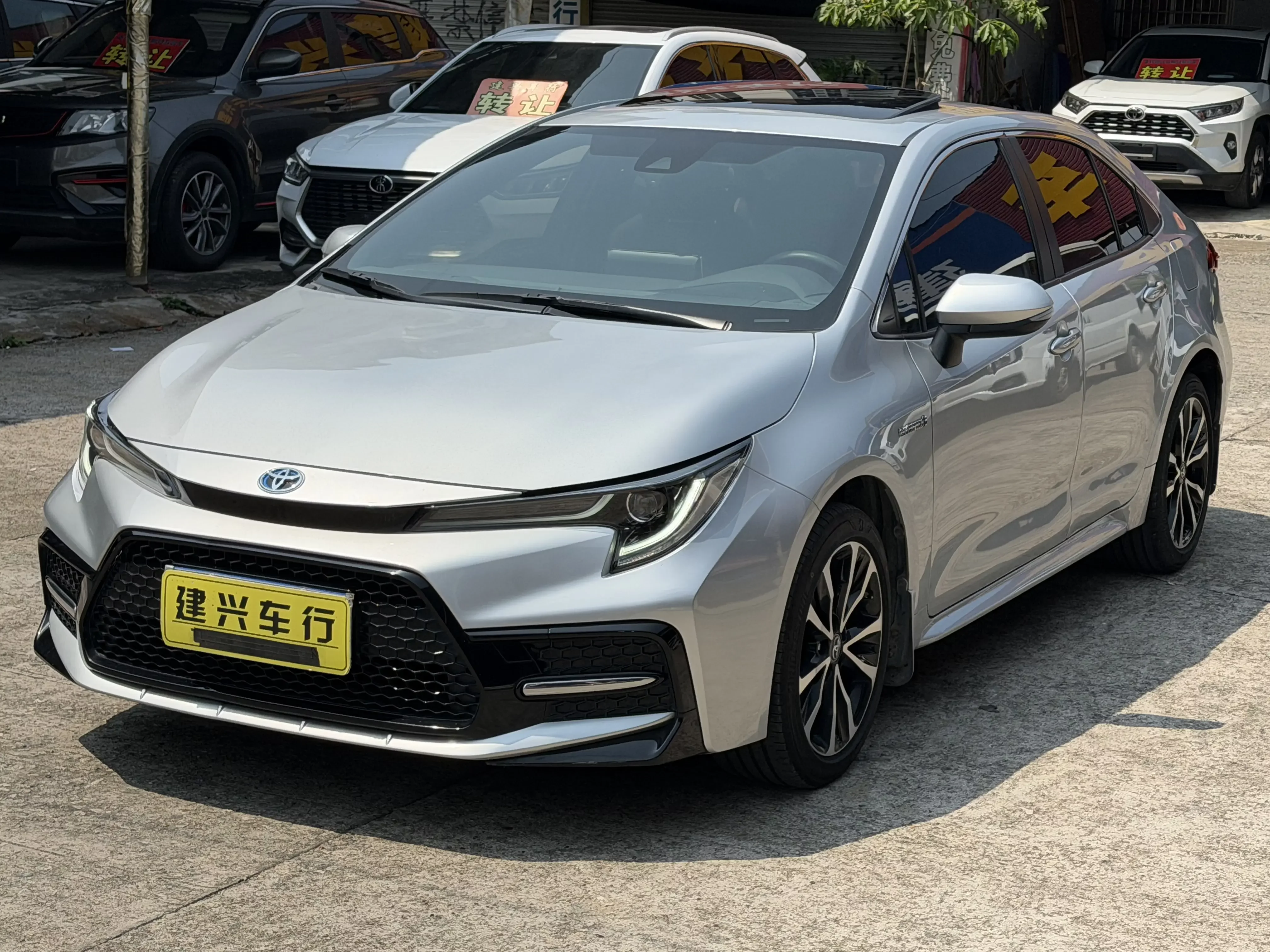 Toyota Levin