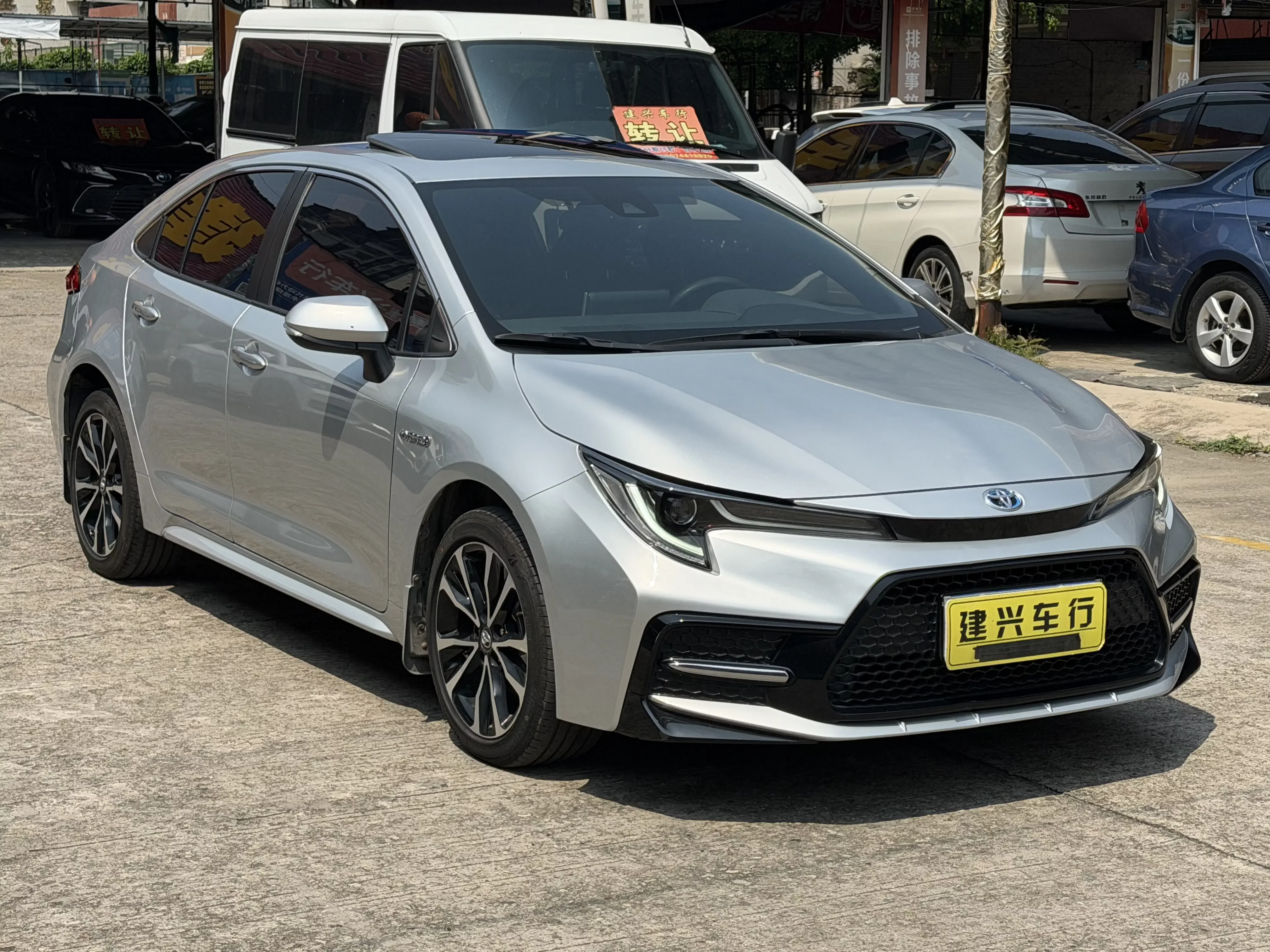 Toyota Levin