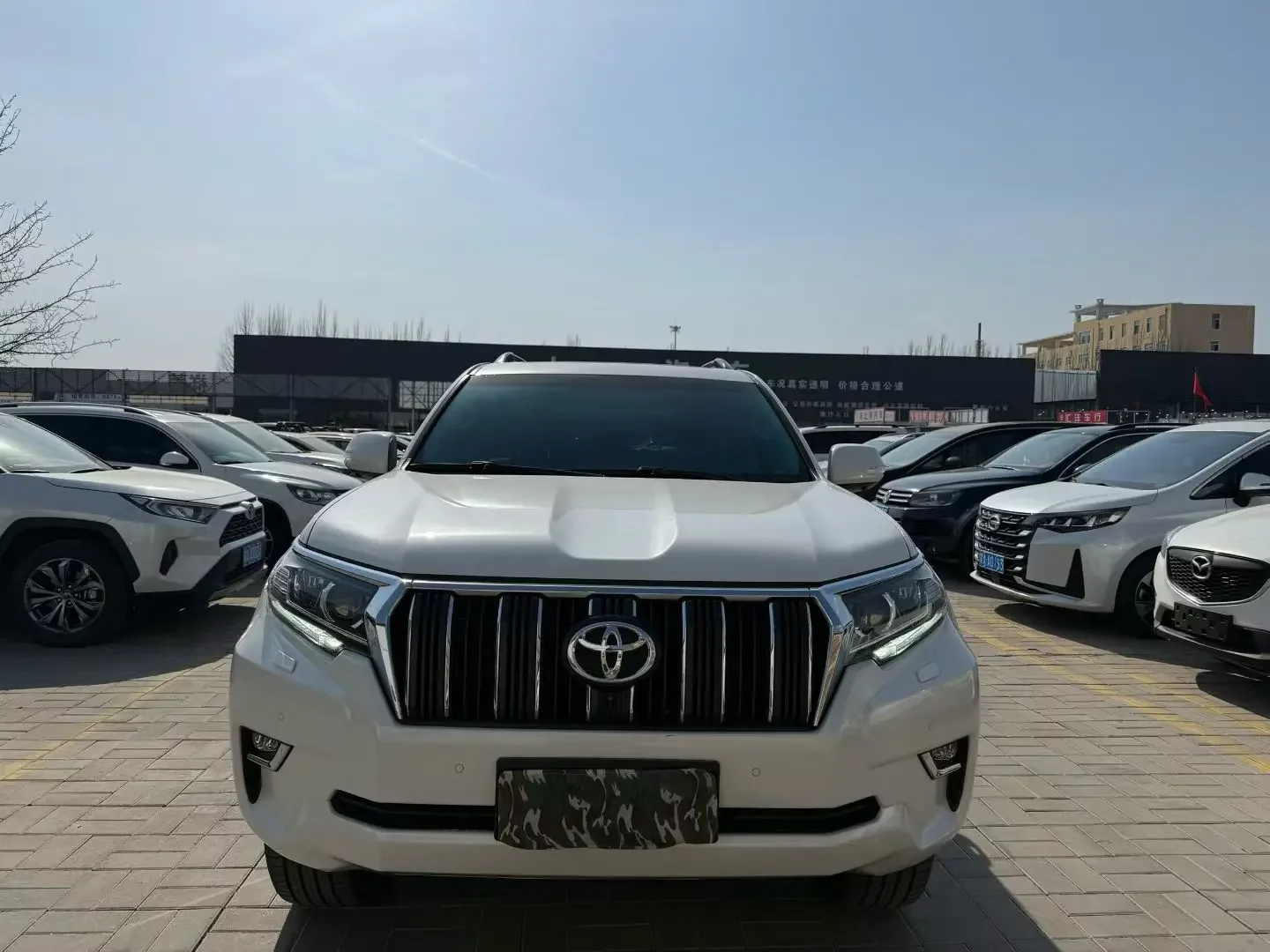 Toyota prado