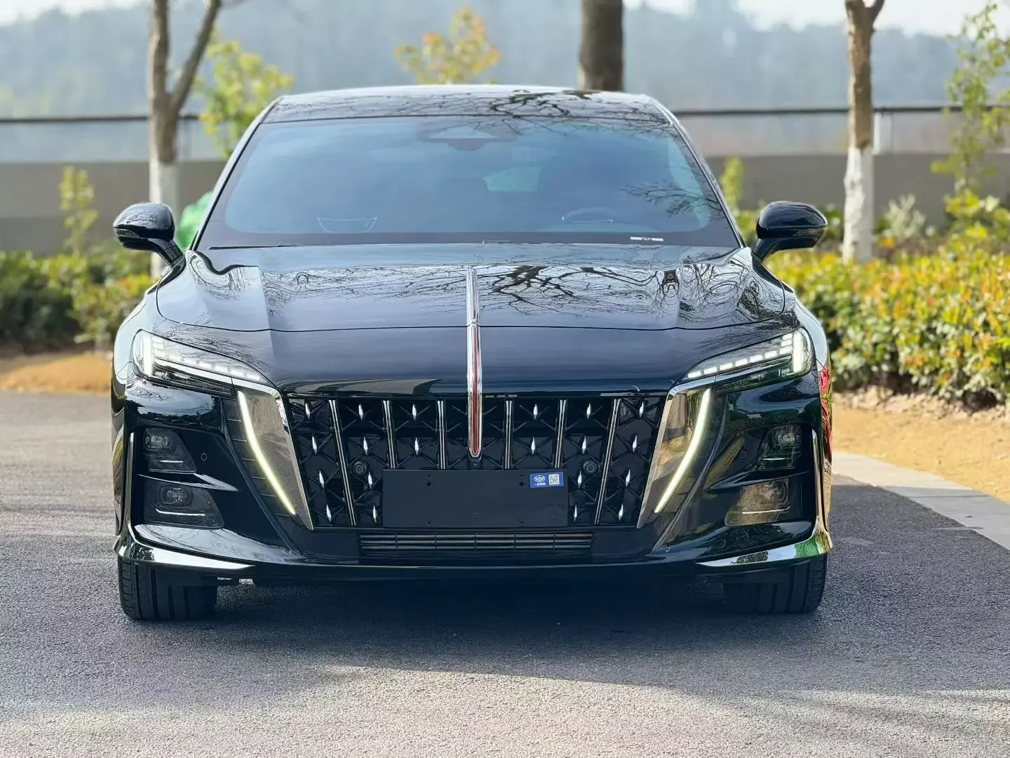 Hongqi H6