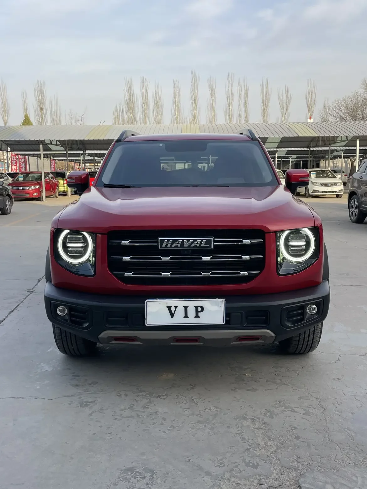 Haval Dargo