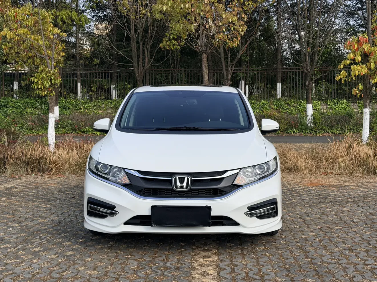 Honda Jed